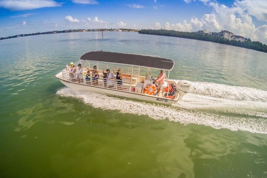 Marco Island: Dolphin-Watching Boat Tour - Key points to know before you book