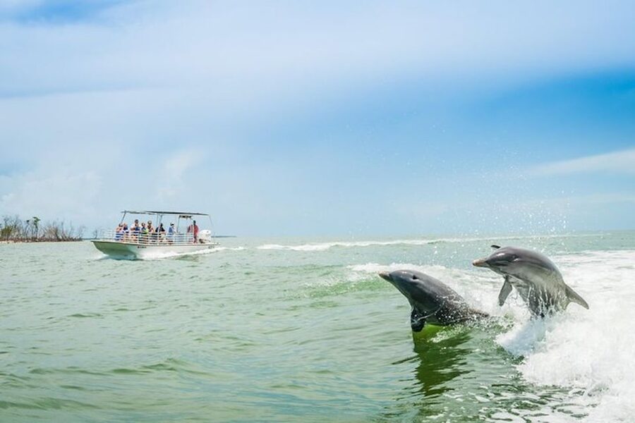Marco Island: Dolphin-Watching Boat Tour - Setting out from Goodland
