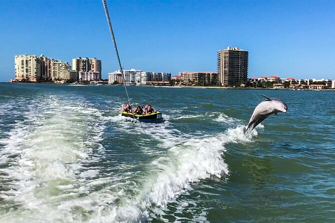 Marco Island Dolphin Watching & Tubing Adventure - Why a shelling stop can improve the day