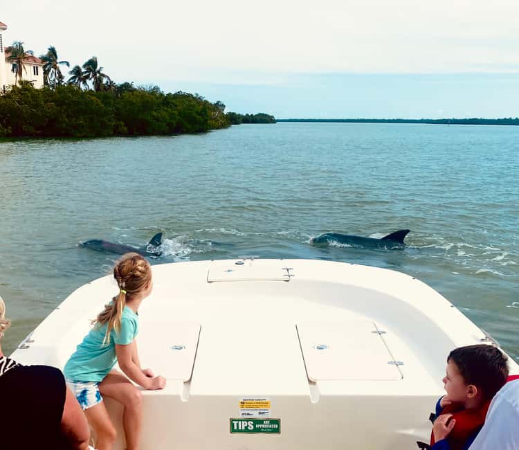 Marco Island: Private Shelling & Dolphin Excursion - Quick takeaways for your Marco Island boat trip