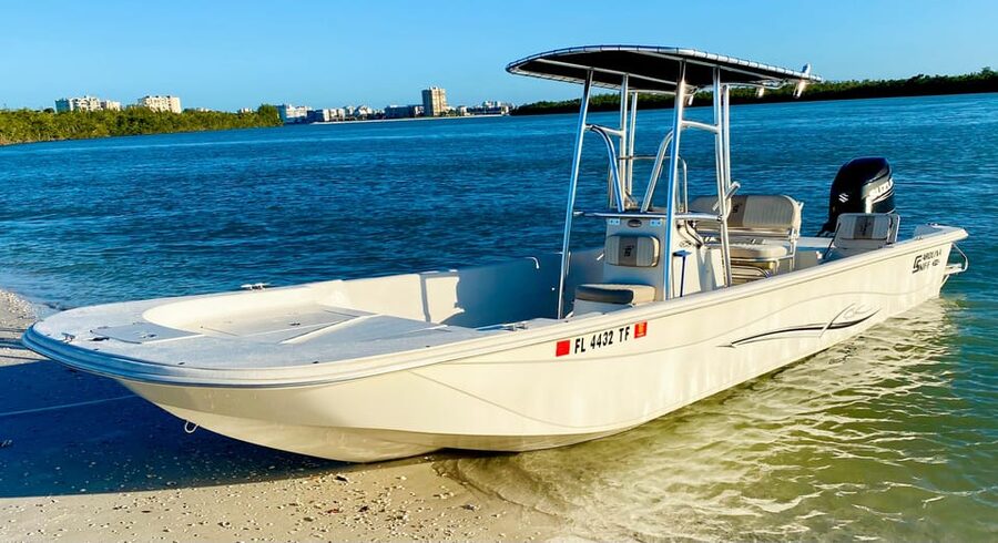 Marco Island: Private Shelling & Dolphin Excursion - Why this 150-minute trip works so well