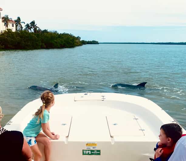Marco Island: Private Shelling & Dolphin Excursion - Through the mangroves and into the 10,000 Islands