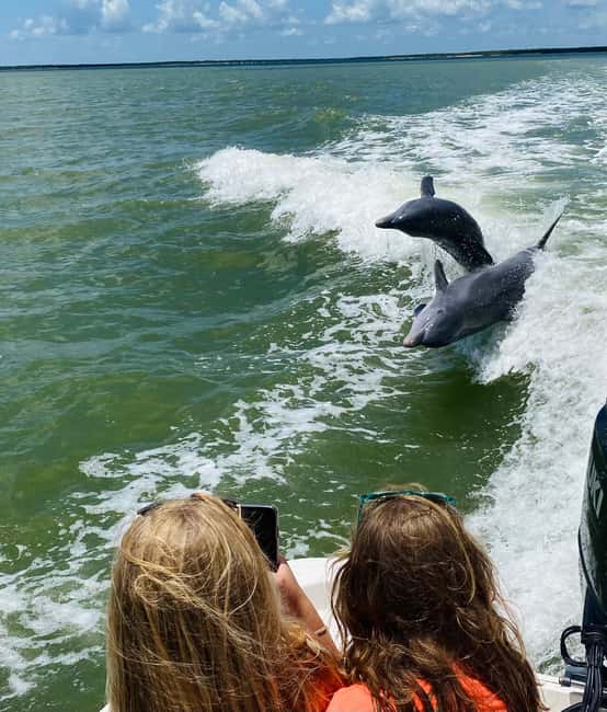 Marco Island: Private Shelling & Dolphin Excursion - A guide who shapes the outing around your group