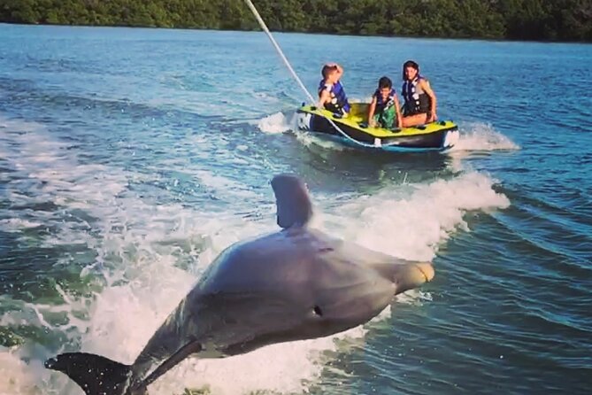 Marco Island Private Tubing, Dolphin Watching and Shelling Tour - Key points to know before booking