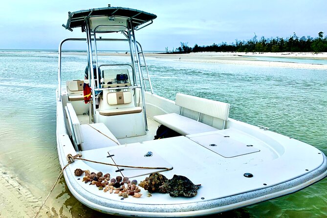 Marco Island Private Tubing, Dolphin Watching and Shelling Tour - Why this tour works well for families