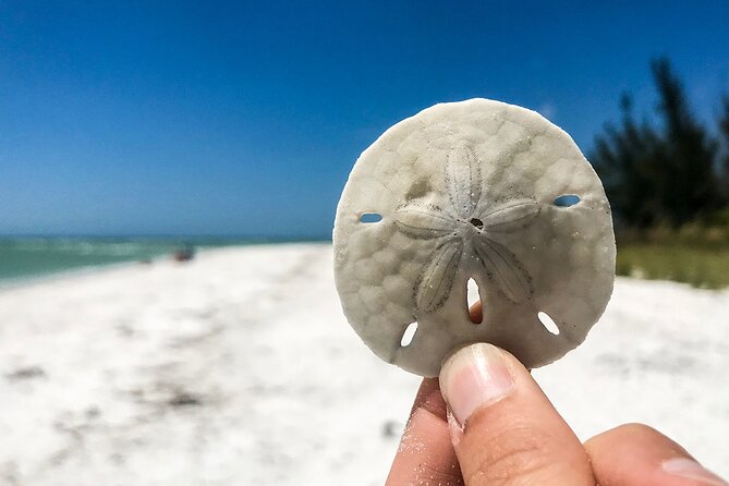 Marco Island Private Tubing, Dolphin Watching and Shelling Tour - Tubing in calm, shallow water