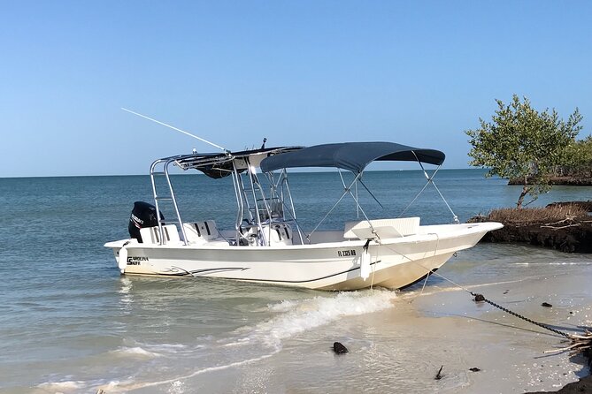Marco Island Private Tubing, Dolphin Watching and Shelling Tour - Timing, fitness, and weather