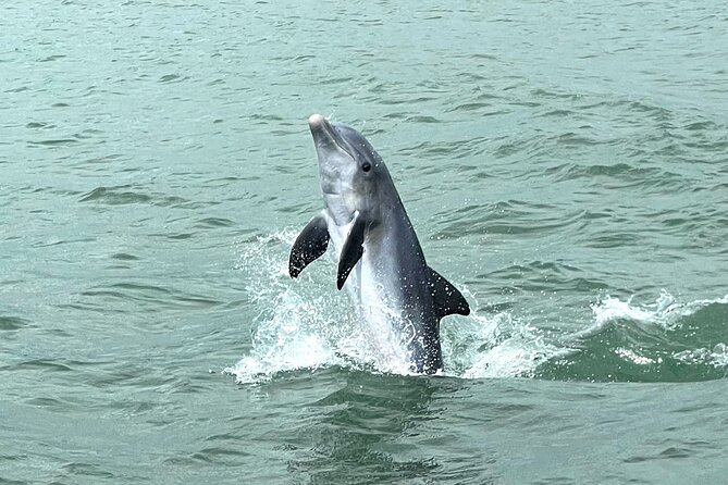 Marco Island Private Tubing, Dolphin Watching and Shelling Tour - Leaving Goodland for the 10,000 Islands