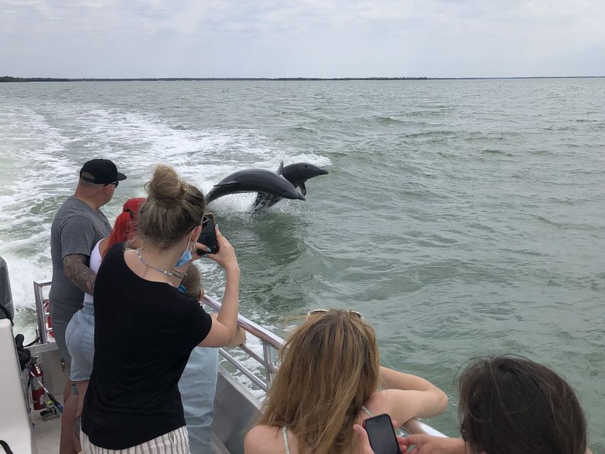 Marco Island: Ten Thousand Islands Shelling & Dolphin Tour - Key points to know before you book