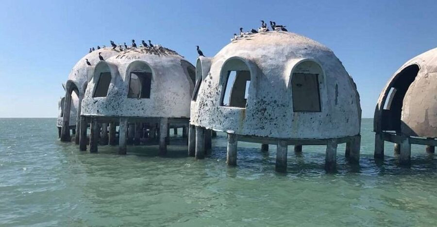 Marco Island: Ten Thousand Islands Shelling & Dolphin Tour - What this Marco Island tour is really about