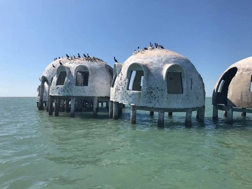 Marco Island: Ten Thousand Islands Shelling & Dolphin Tour - Who will get the most from this outing