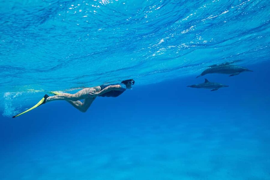 Marsa Alam:Sataya Reefs Dolphin Snorkeling Cruise with Lunch - Reaching Sataya Reef From Marsa Alam