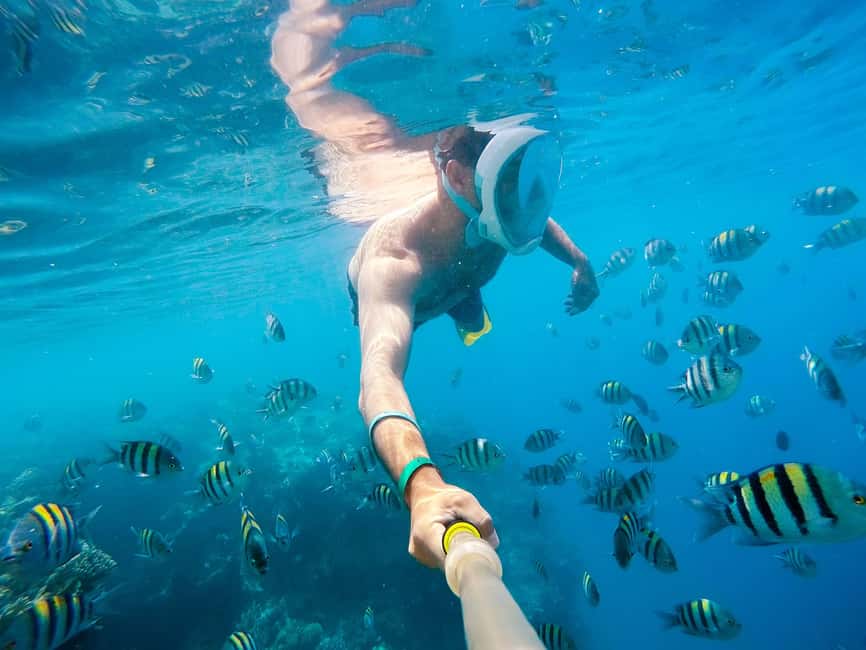 Marsa Alam:Sataya Reefs Dolphin Snorkeling Cruise with Lunch - First Look at Dolphin House