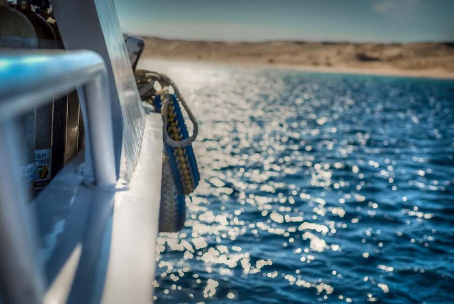Marsa Alam:Sataya Reefs Dolphin Snorkeling Cruise with Lunch - Lunch, Drinks, and Time to Rest