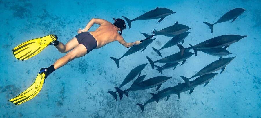 Marsa Alam:Sataya Reefs Dolphin Snorkeling Cruise with Lunch - The Boat Ride Across the Red Sea