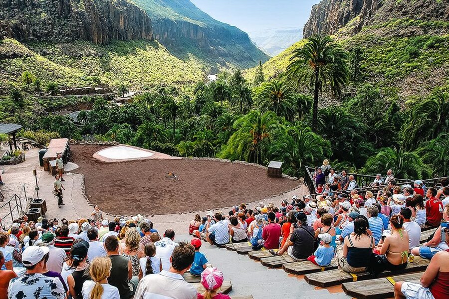 Maspalomas: Palmitos Park Ticket with Dolphin and Bird Shows - How hard is the walking?