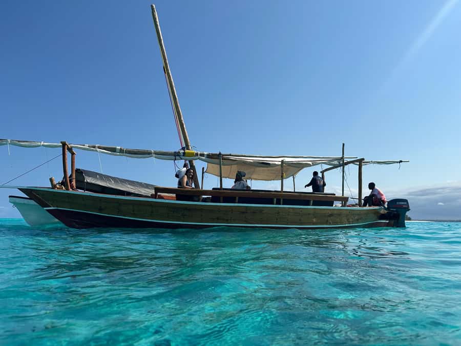 Matemwe: Mnemba Island Dolphin & Snorkeling Boat Trip - Key points to know before you book