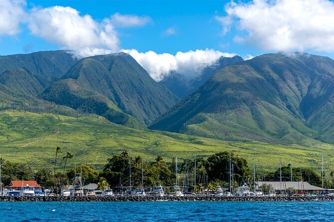 Maui Eco-Raft: 2 Hour Dolphin Watch Sightsee Tour (Semi-Private) - Is $96.52 a fair price?