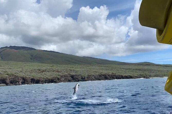 Maui Eco-Raft: 2 Hour Dolphin Watch Sightsee Tour (Semi-Private) - Who should book this Maui eco-raft tour?