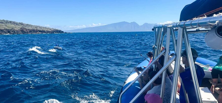 Maui: Eco-Raft Dolphin Watch Tour with Snacks - Marine stories from Captain Jack, Brie, and the crew
