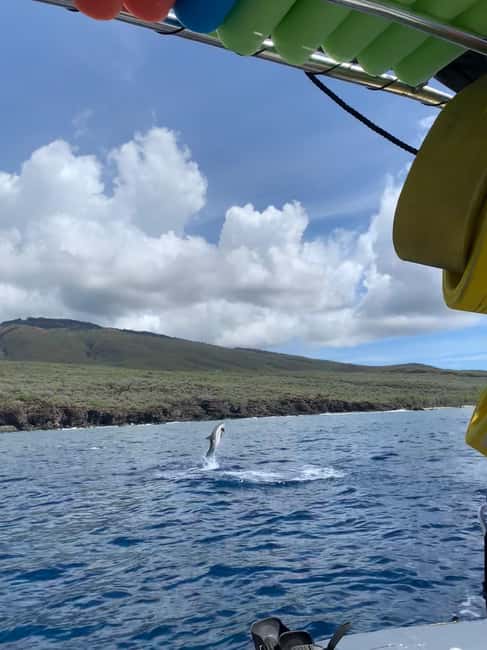 Maui: Eco-Raft Dolphin Watch Tour with Snacks - Small-group comfort versus open-ocean limits