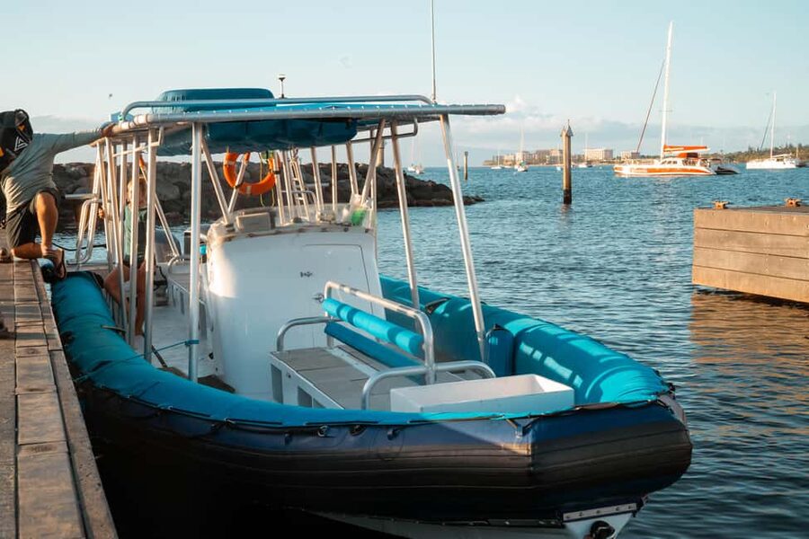 Maui: Eco-Raft Dolphin Watch Tour with Snacks - Is $96 a fair price?