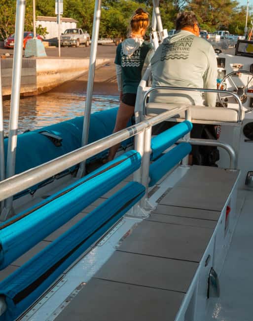 Maui: Eco-Raft Dolphin Watch Tour with Snacks - Practical preparation for the morning or afternoon
