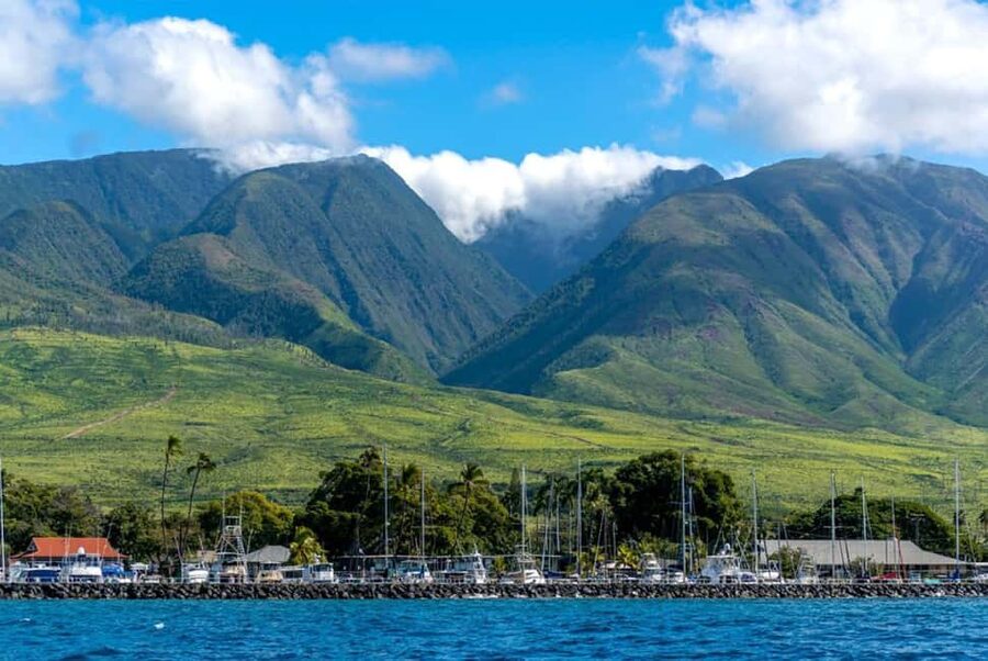 Maui: Eco-Raft Dolphin Watch Tour with Snacks - Who should book this Lahaina eco-raft trip?