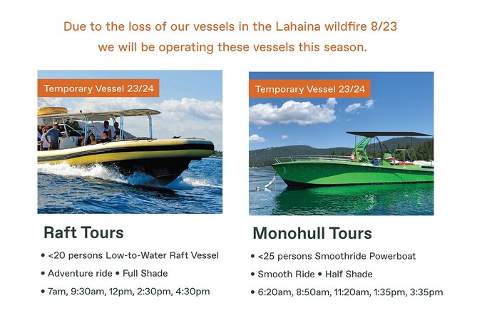 Maui Eco-Raft Tour: Eye-Level Whale or Dolphin Watching - Lahaina - Summer dolphins and coastal scenery