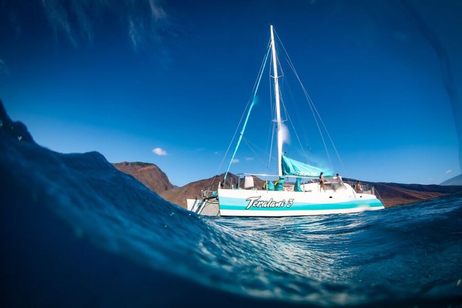 Maui: Kaanapali Dolphin Watching Boat Trip with Lunch - Key points to know before you book