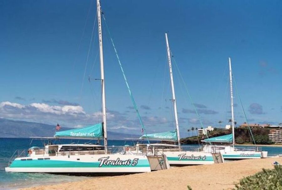 Maui: Kaanapali Dolphin Watching Boat Trip with Lunch - The catamaran, crew, and views