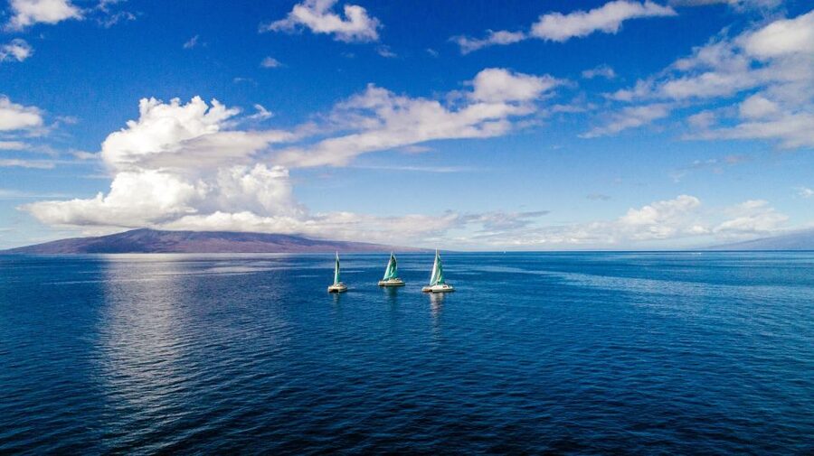 Maui: Kaanapali Dolphin Watching Boat Trip with Lunch - Who will enjoy this trip most?