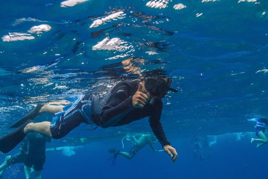 Maui: Lanai Snorkel & Dolphin Watch with Lunch - Who will get the most from this Lanai trip