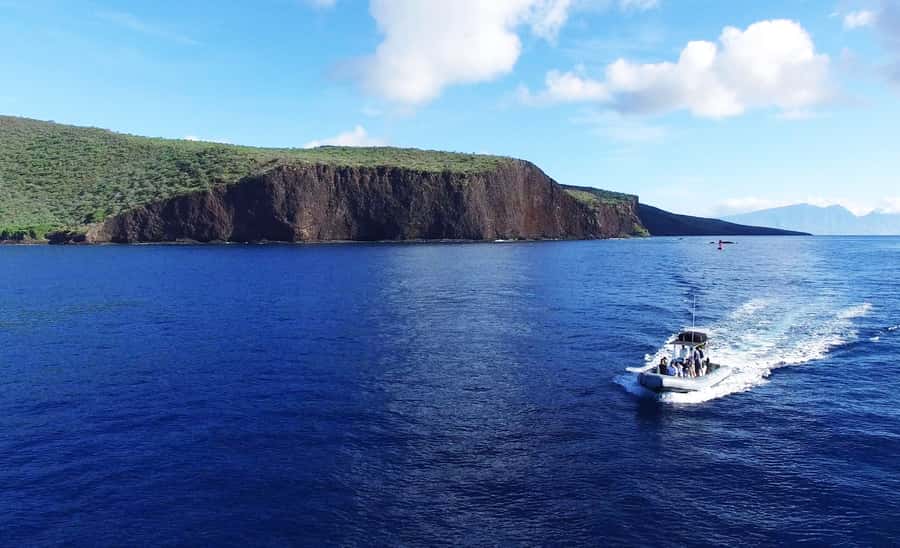 Maui: Semi-Private Eco-Raft Lanai Snorkel & Dolphin Tour - What $204 Buys You