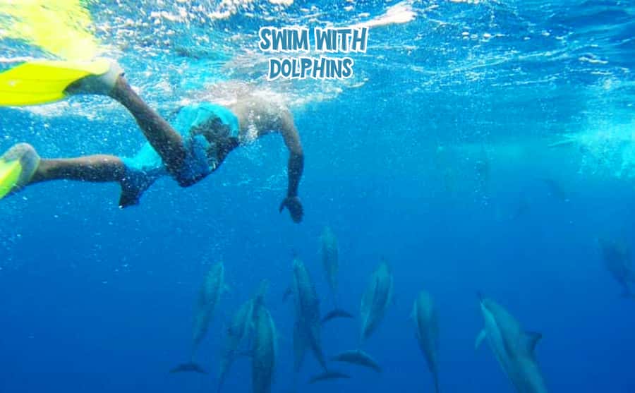 Mauritius: Benitier Island - Swim Dolphins - Speedboat & BBQ - The early run toward Mauritius’s dolphins