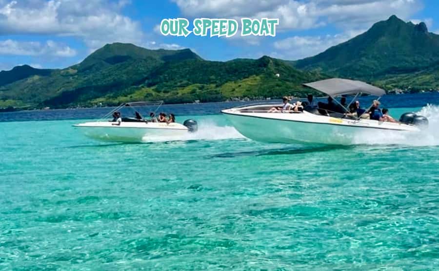 Mauritius: Benitier Island - Swim Dolphins - Speedboat & BBQ - Crystal Rock with Le Morne Brabant behind it