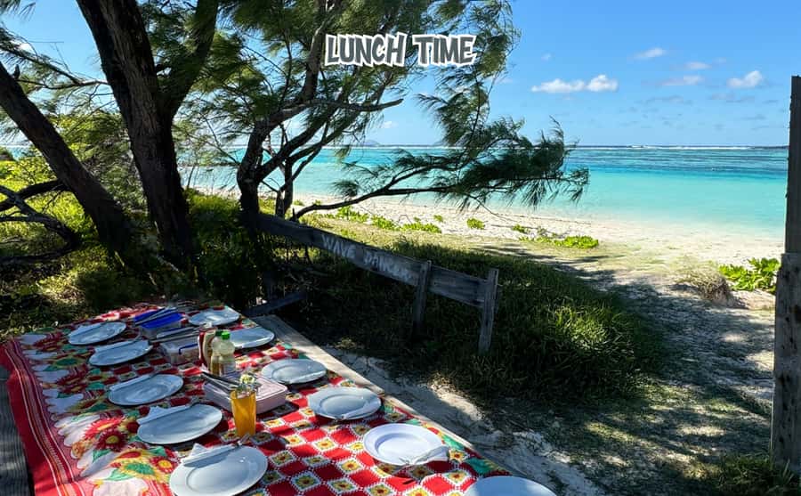 Mauritius: Benitier Island - Swim Dolphins - Speedboat & BBQ - The speedboat, group size, and comfort