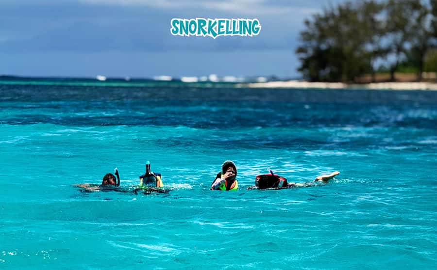 Mauritius: Benitier Island - Swim Dolphins - Speedboat & BBQ - Who will enjoy this trip most?
