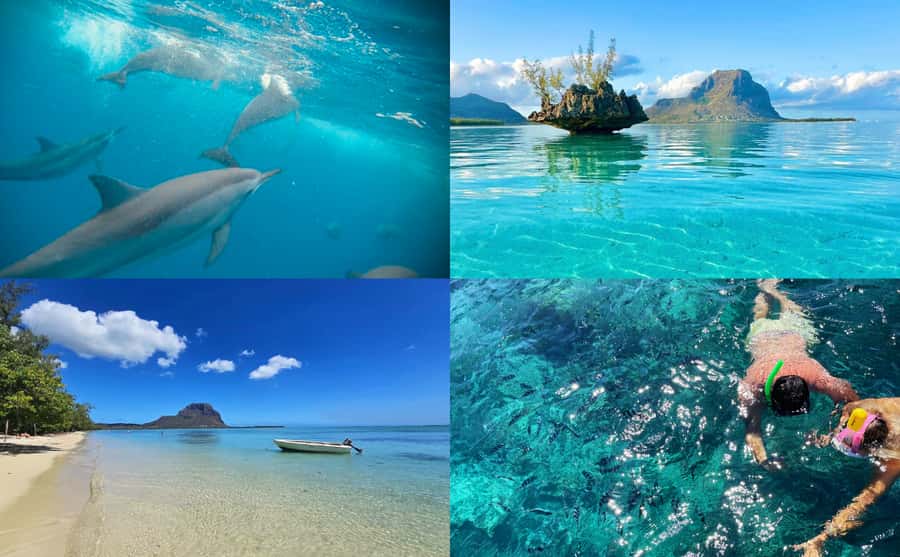 Mauritius: Benitier Island - Swim Dolphins - Speedboat & BBQ - Snorkeling at La Preneuse or Crystal Rock Reef