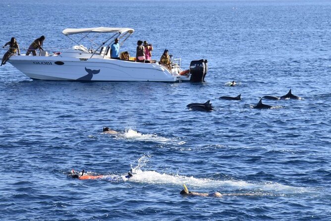 Mauritius : Dolphins Swim and Ile Aux Bénitiers with BBQ - The morning begins at Tamarin Public Beach