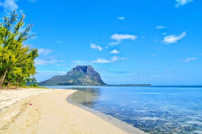 Mauritius : Dolphins Swim and Ile Aux Bénitiers with BBQ - Who will enjoy this Mauritius boat trip