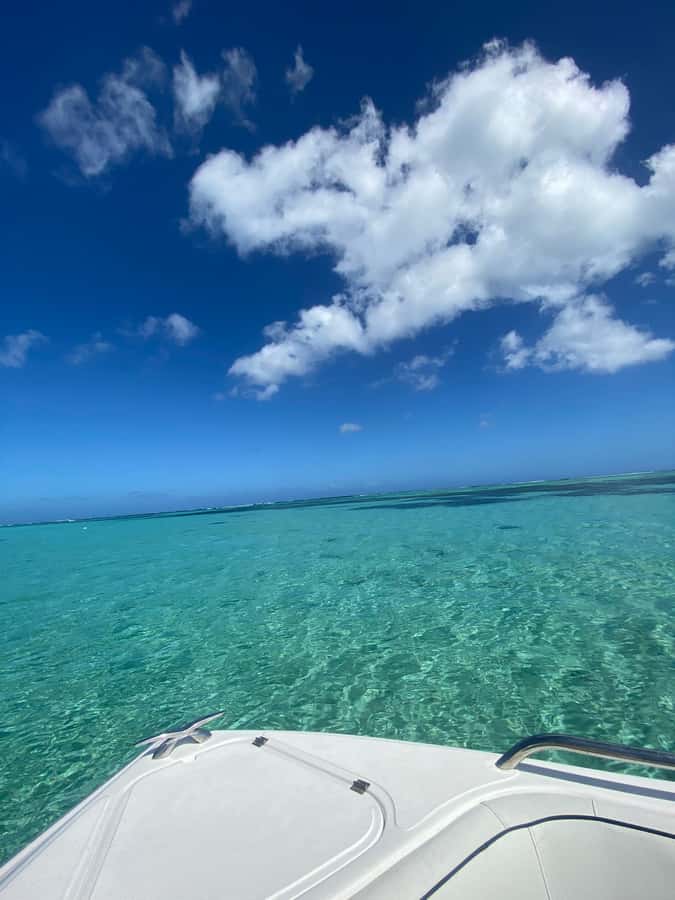 Mauritius Le Morne: Eco-Friendly Dolphin Watching Tour - A more careful way to swim near dolphins