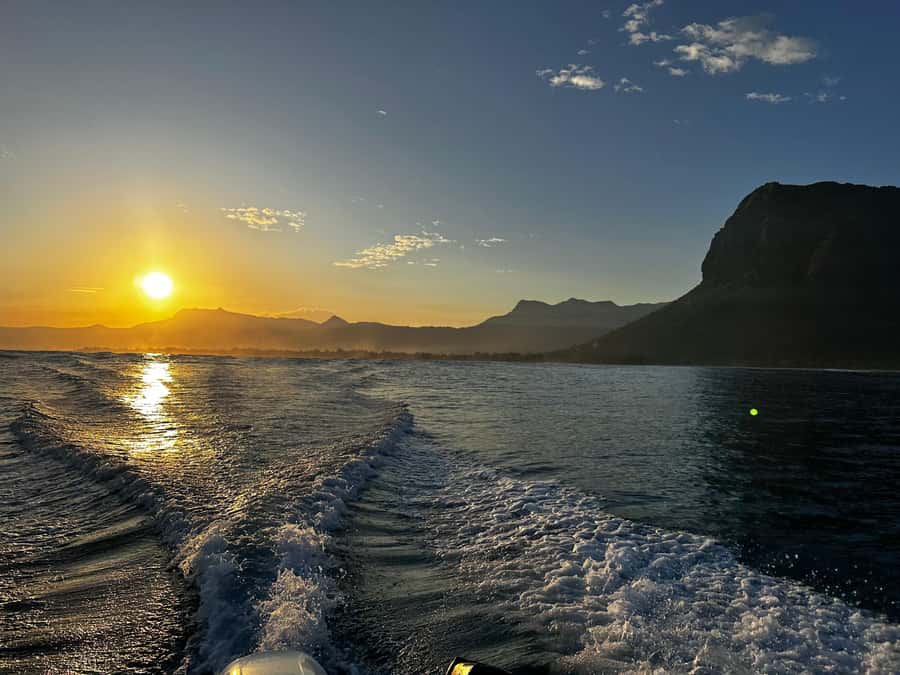 Mauritius Le Morne: Eco-Friendly Dolphin Watching Tour - What the $344 private rate really buys