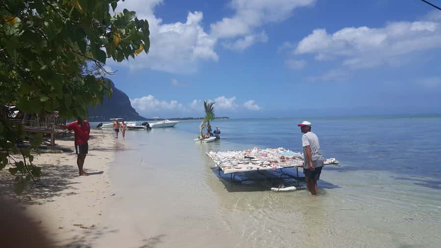 Mauritius: Ocean Swim with Dolphins - BBQ lunch and two hours on Île aux Bénitiers