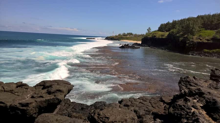 Mauritius: Private South Side and Dolphin Adventure Tour - Why the dolphin encounter must start before sunrise