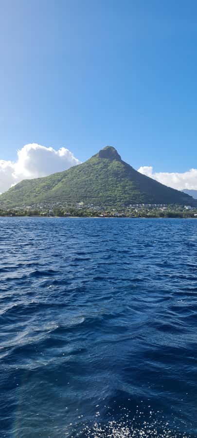 Mauritius: Snorkel and Swim with Dolphins on Speedboat Tour - The crew and available languages