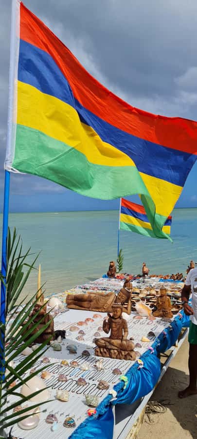 Mauritius: Snorkel and Swim with Dolphins on Speedboat Tour - Is $49 good value?