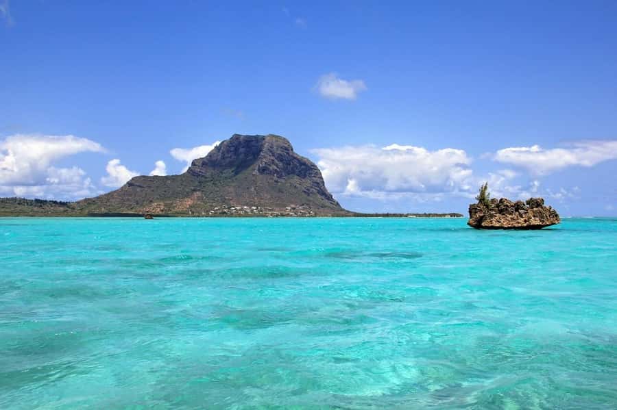 Mauritius: Swim with Dolphins Full-Day with Lunch/Drinks - BBQ lunch and beach time at Ile aux Benitiers