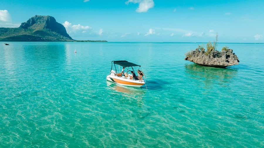 Mauritius: Swim with Dolphins Full-Day with Lunch/Drinks - Who will enjoy this outing most