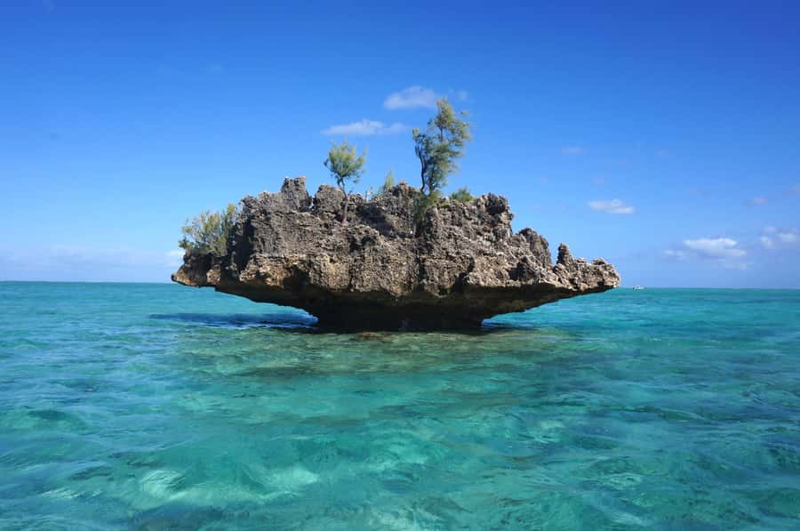 Mauritius: Swim with Dolphins Full-Day with Lunch/Drinks - Meeting at La Preneuse at 7:45